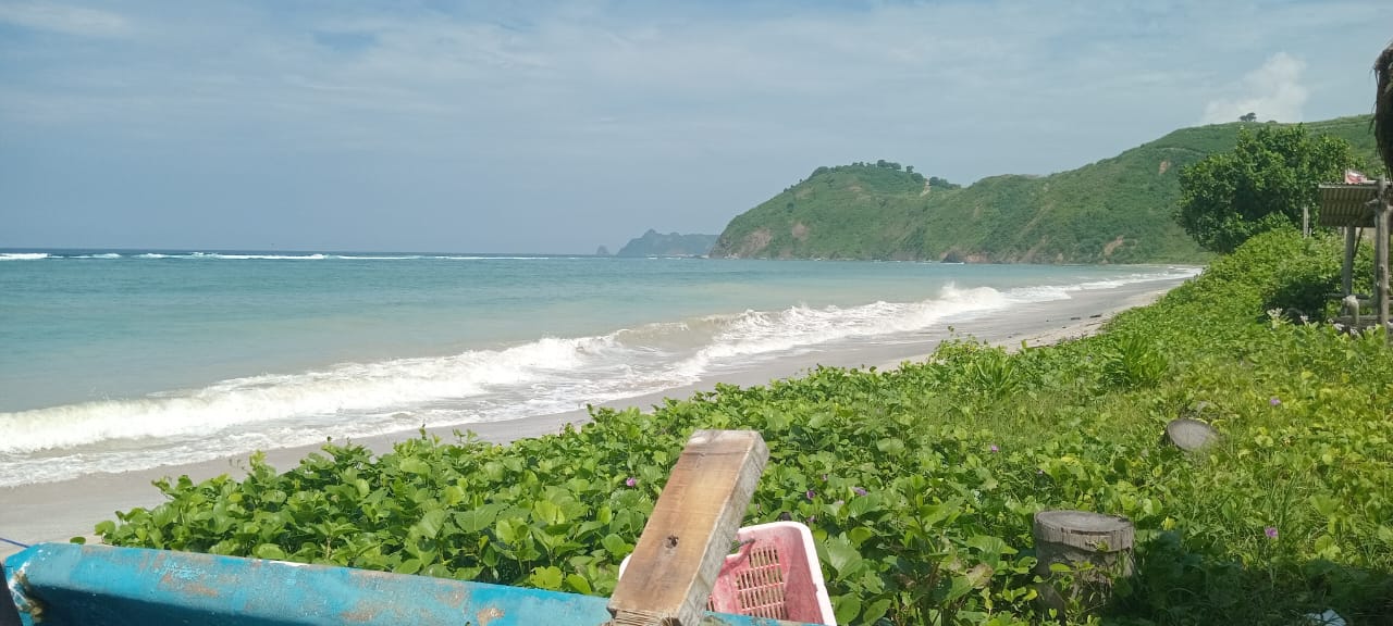 Land view 11