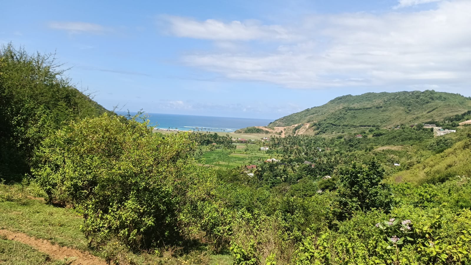 Land view 4