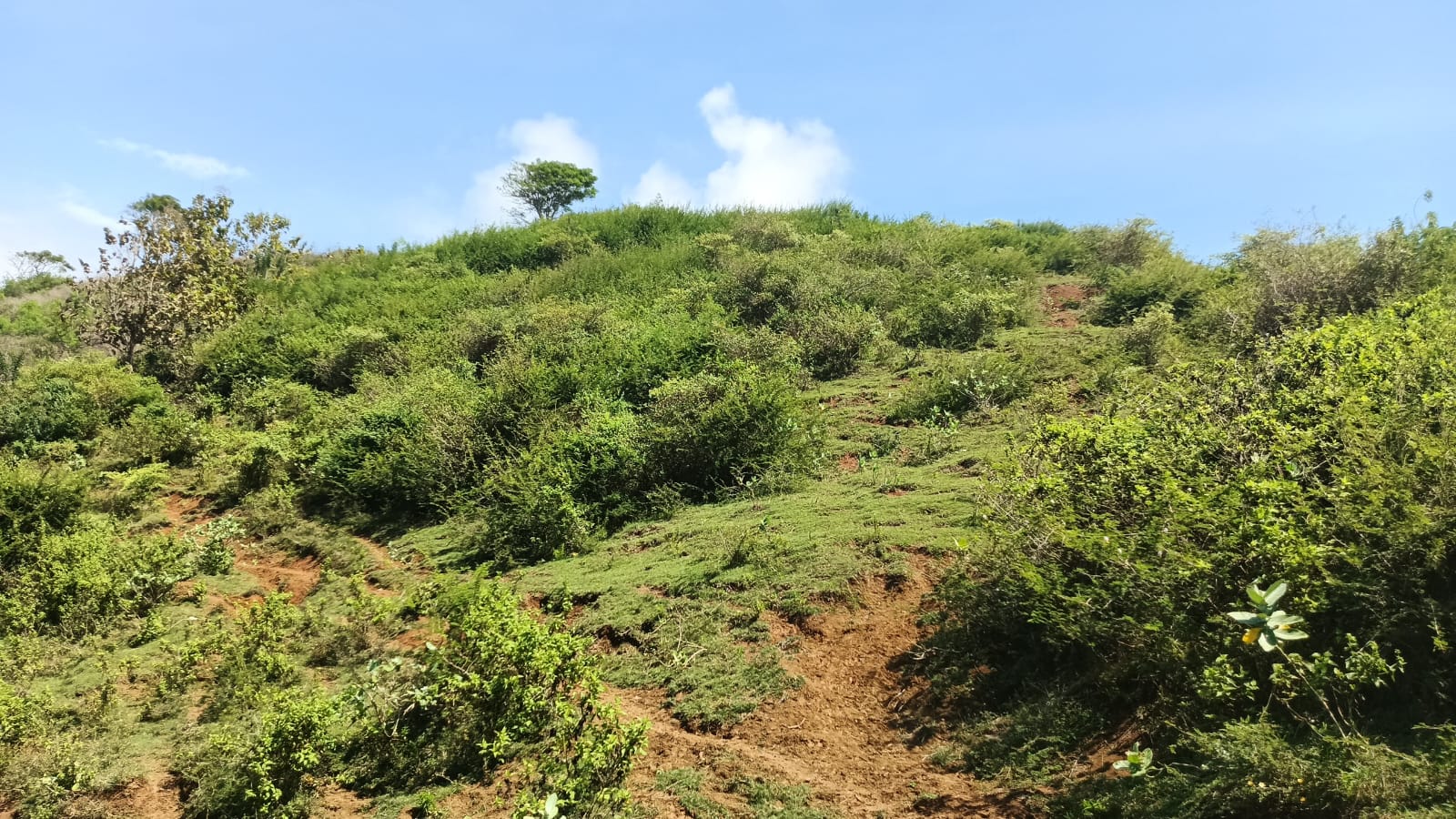 Land view 5