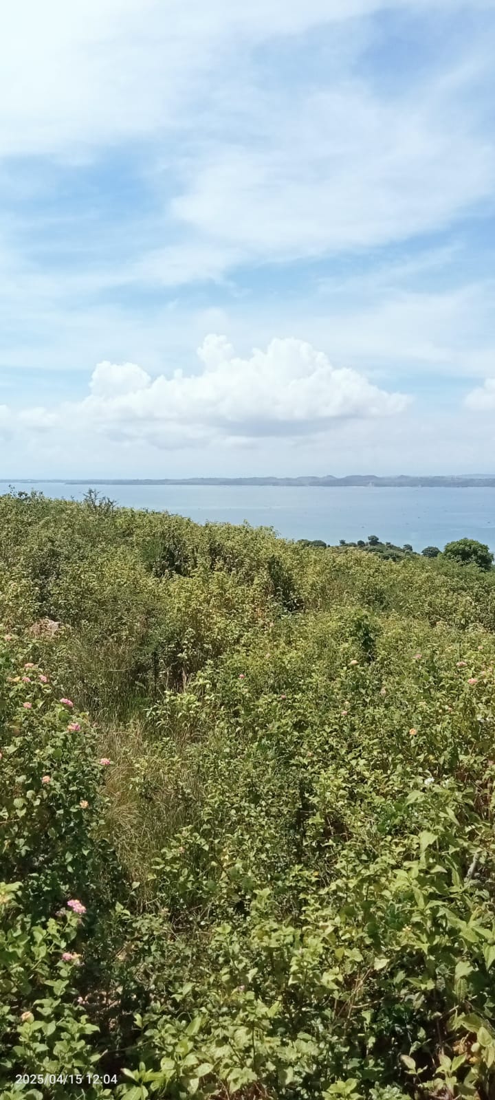 Land view 3