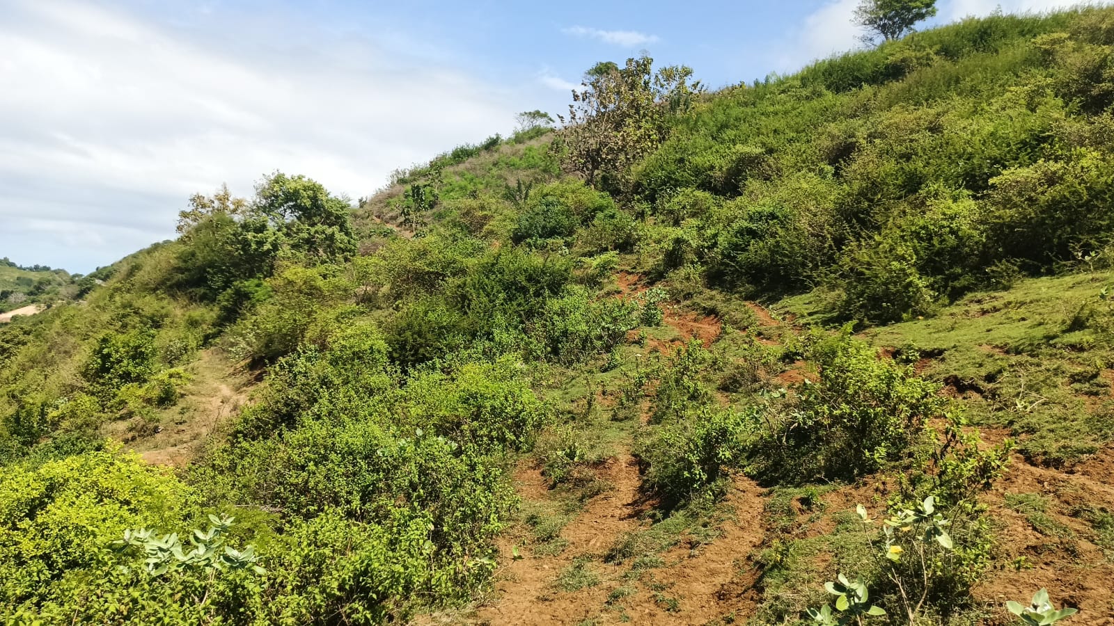 Land view 6