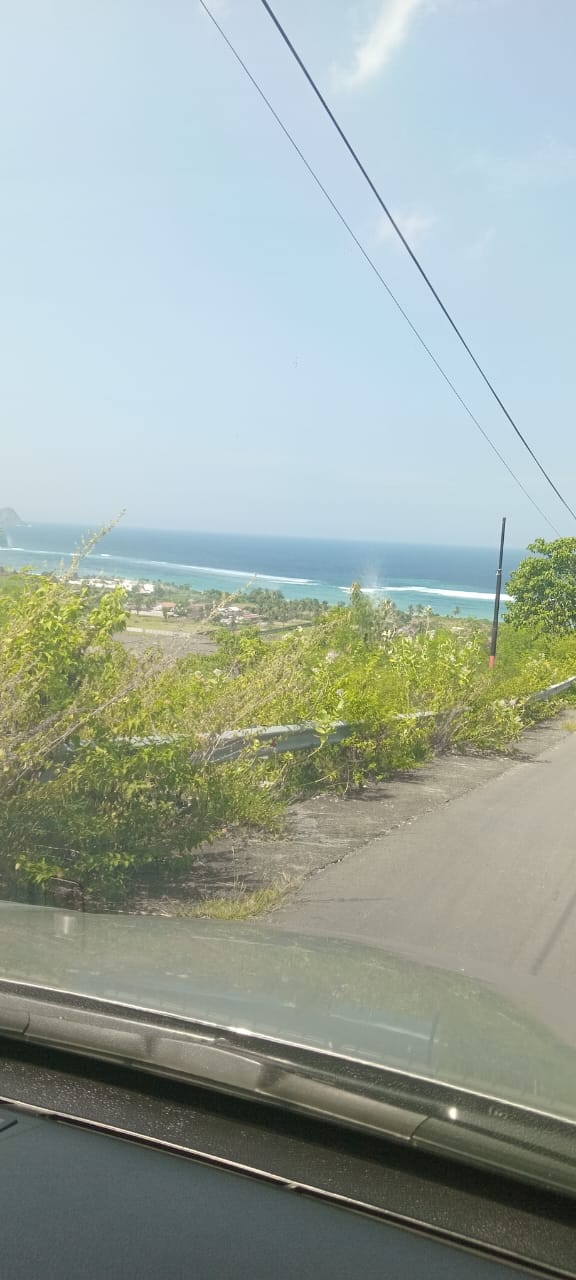 Land view 8