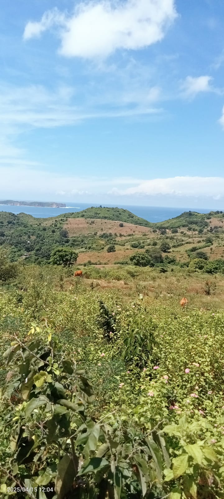 Land view 2