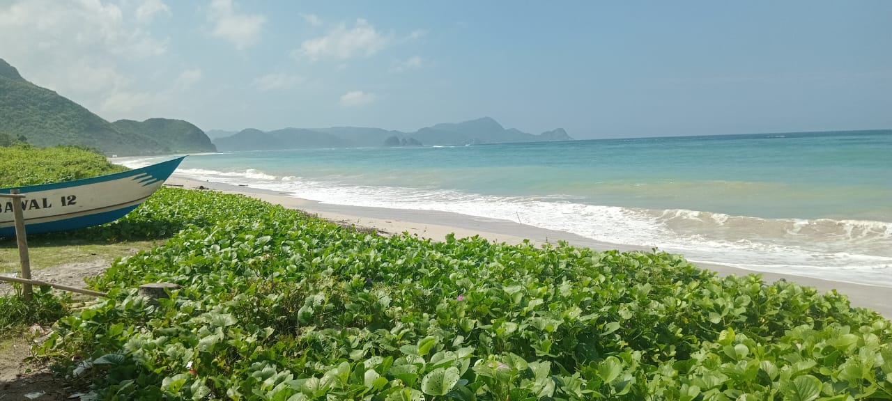 Land view 10