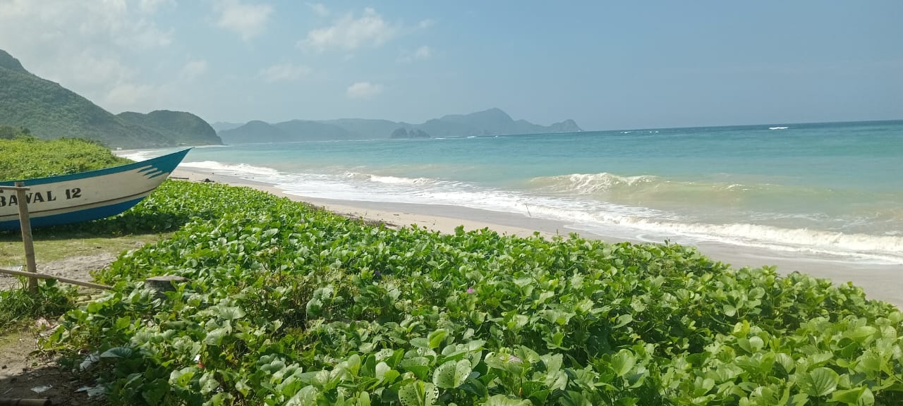 Land view 9