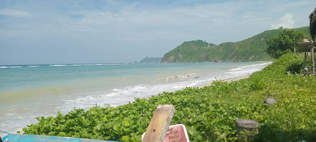 Land view 13