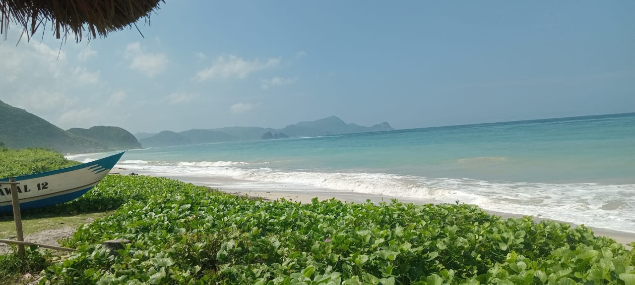 Land view 12